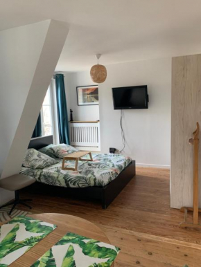 Charmant logement centre-ville